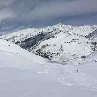 Fresh snow, Dizin
