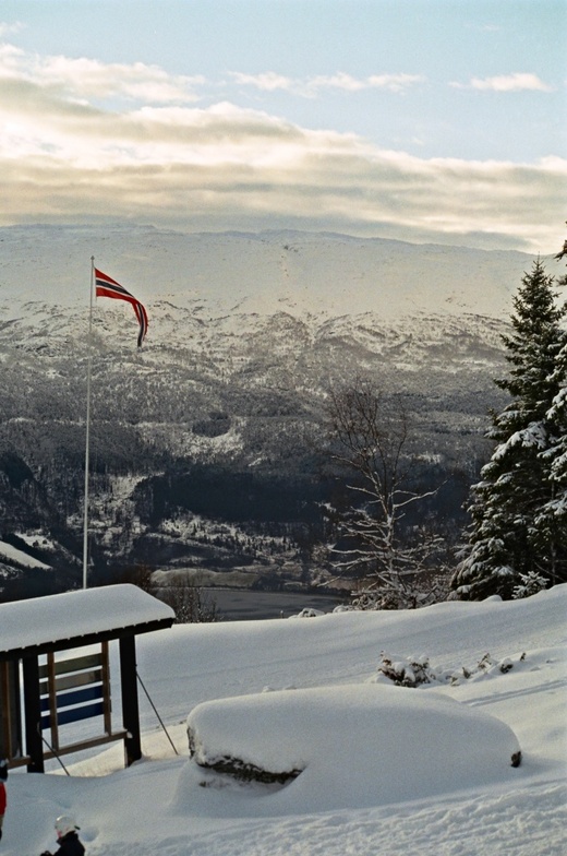 Hanguren, Voss