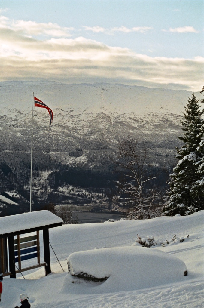 Hanguren, Voss