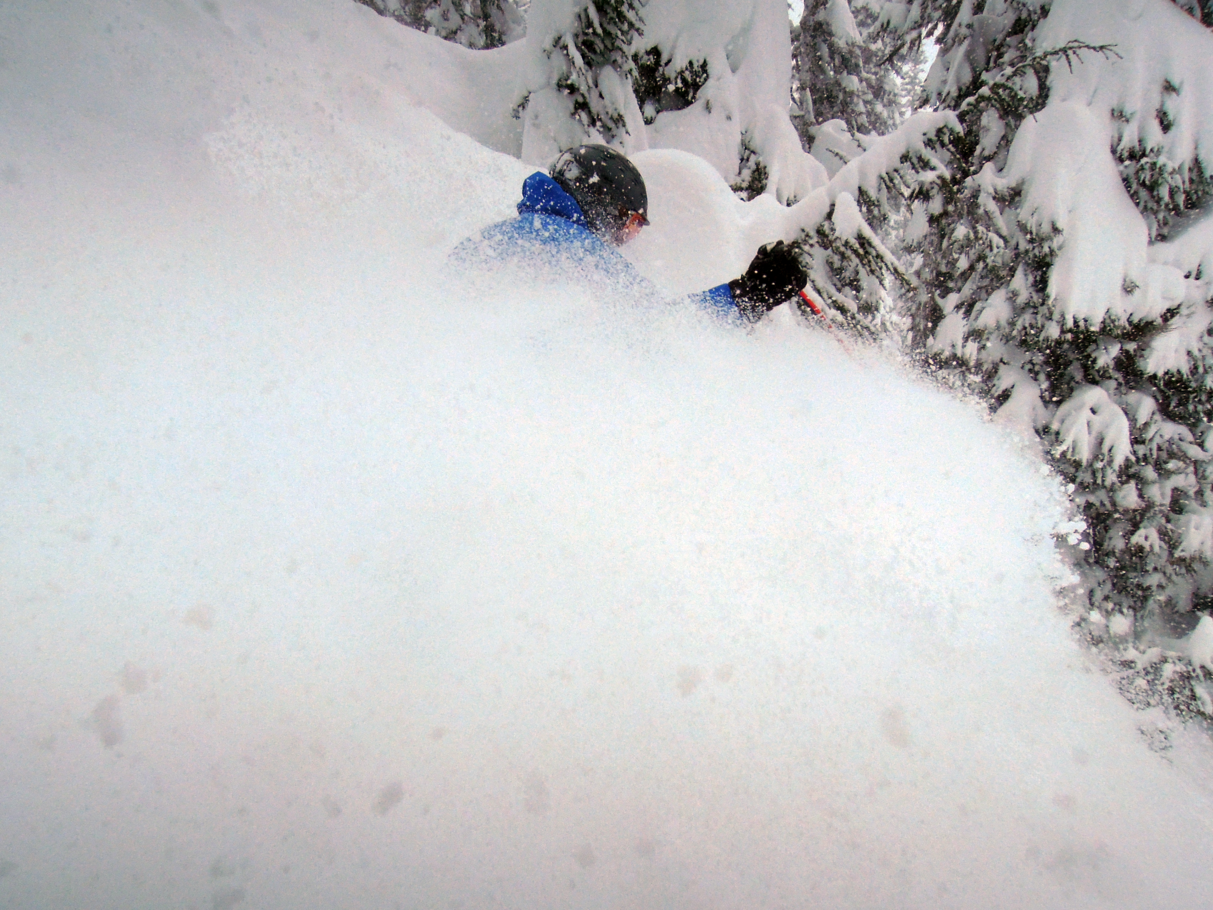 Mt Hood Meadows