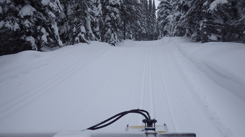 Still winter-like, Sovereign Lake Nordic Centre