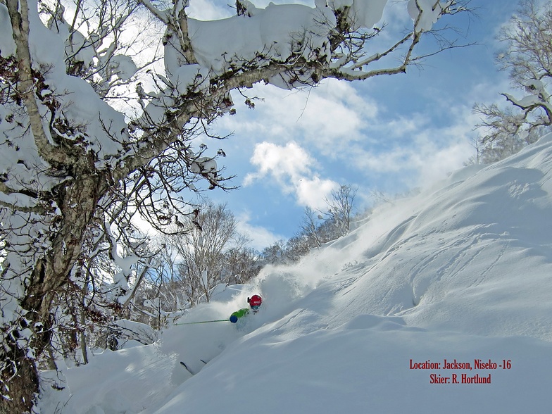 Deep in Jackson!, Niseko Hanazono Resort