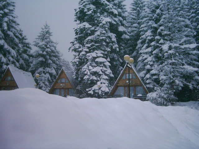 borovets