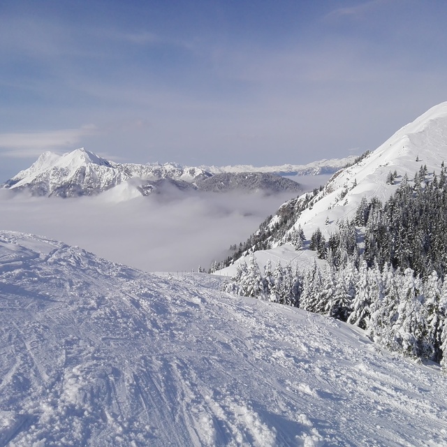 Soriska Planina Snow: Just me and snow