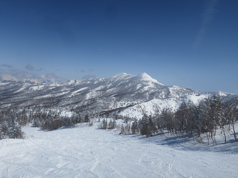 Top View, Shiga Kogen-Terakoya