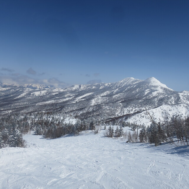 Top View, Shiga Kogen-Terakoya