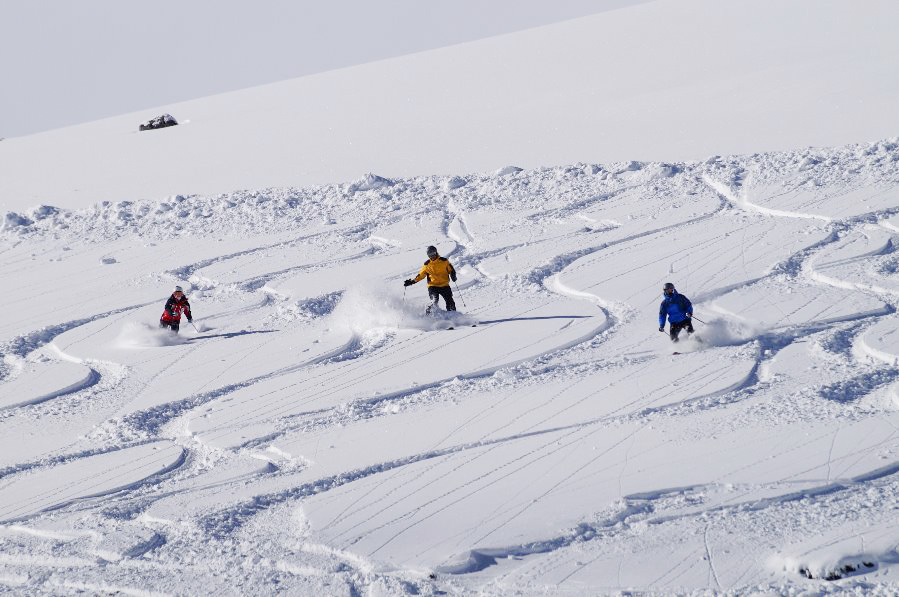 Antillanca Fresh snow 2017