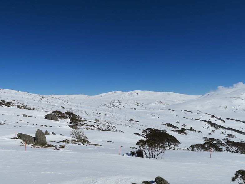 Mtn White!, Charlotte Pass