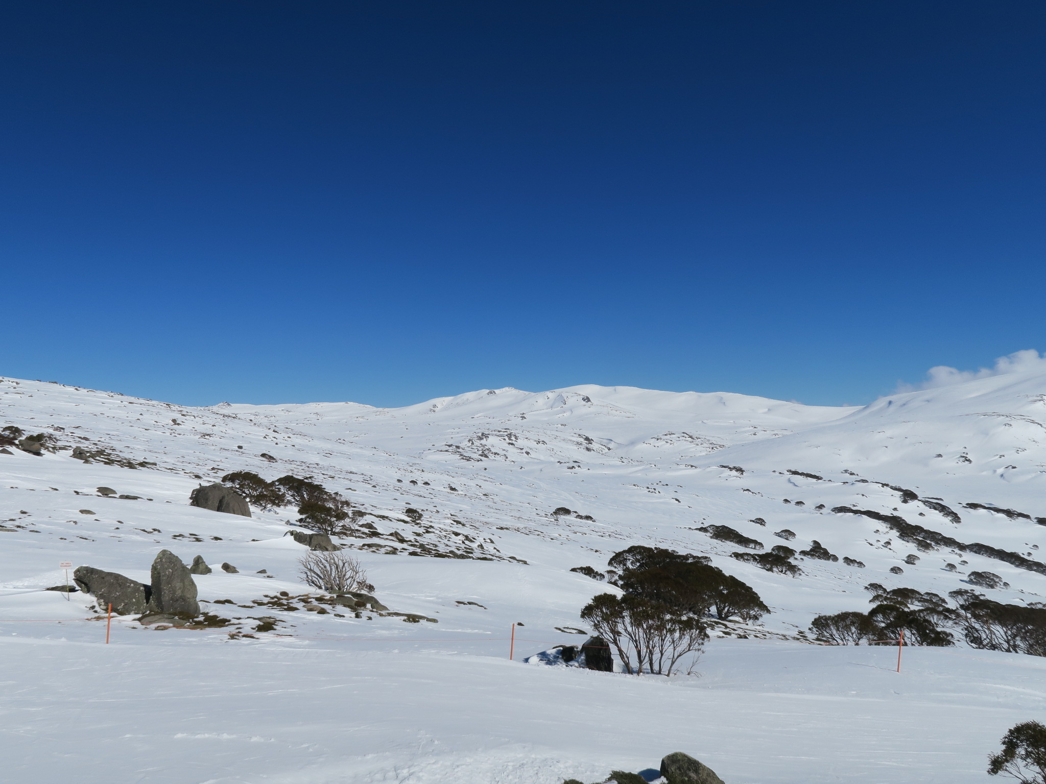 Mtn White!, Charlotte Pass
