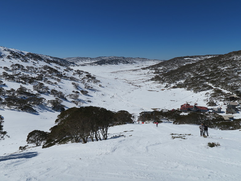 Tree Run, Charlotte Pass