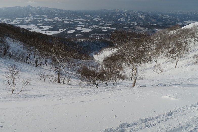Out of Gate!, Niseko Annupuri