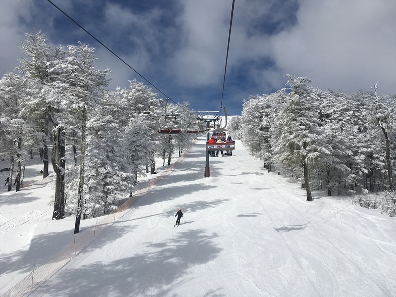 Silla Graeff, Chapelco
