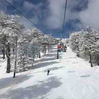 Silla Graeff, Chapelco