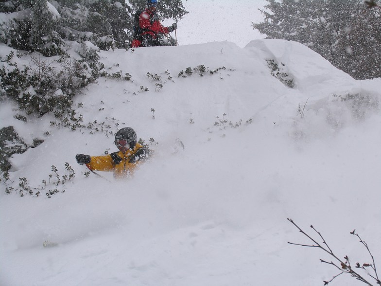 POUDRE, La Rosière