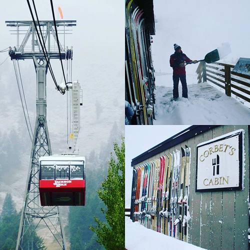 Jackson Hole Ski Resort by: Snow Forecast Admin