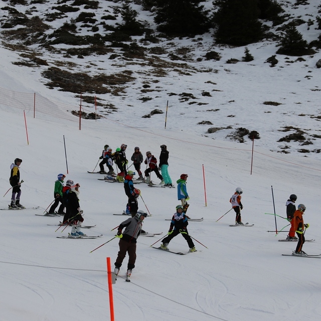 Skirennen, Frutigen - Elsigen - Metsch