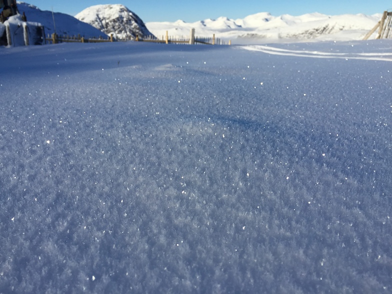 Early morning frost, Glencoe Mountain Resort