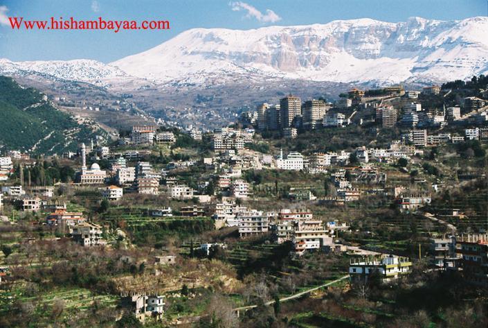 Backhoun :), Cedars