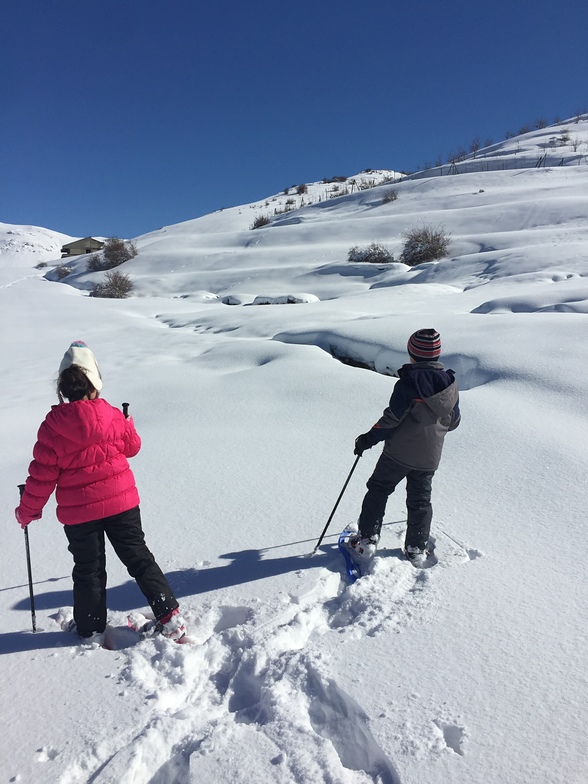 Walking on fresh snow, Zaarour Club