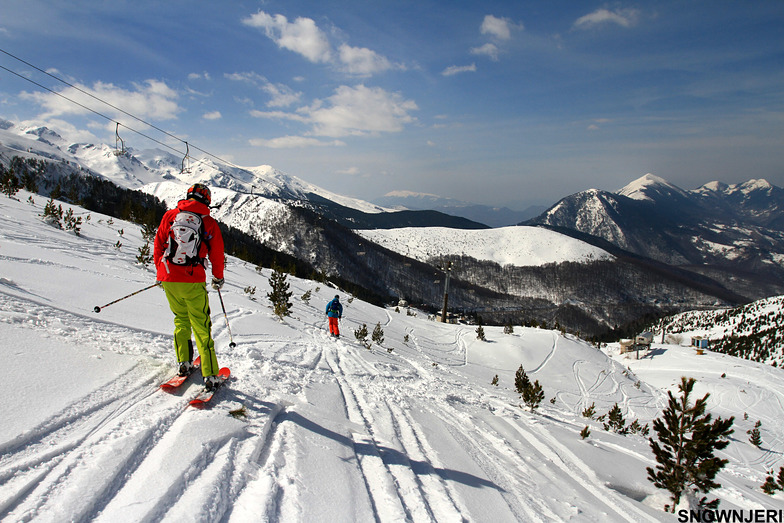 Under Tepsiya, Brezovica