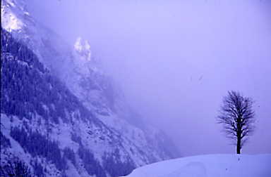 Kandersteg view