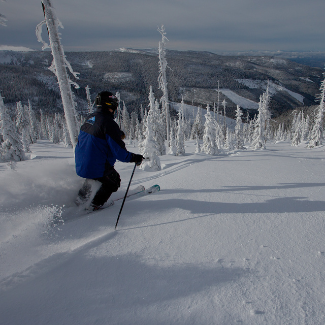 Selkirk Powder