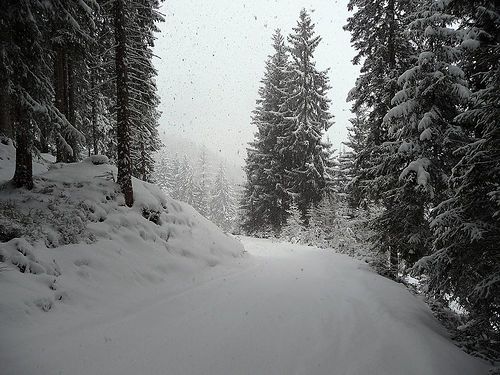 Alpbachtal Ski Resort by: John Fewster