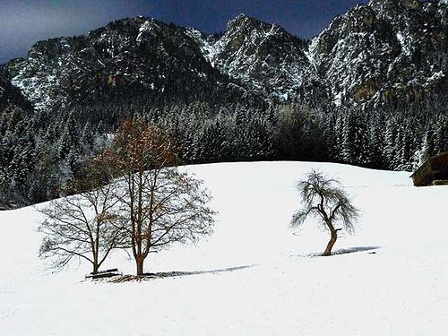 Alpbachtal Ski Resort by: John Fewster