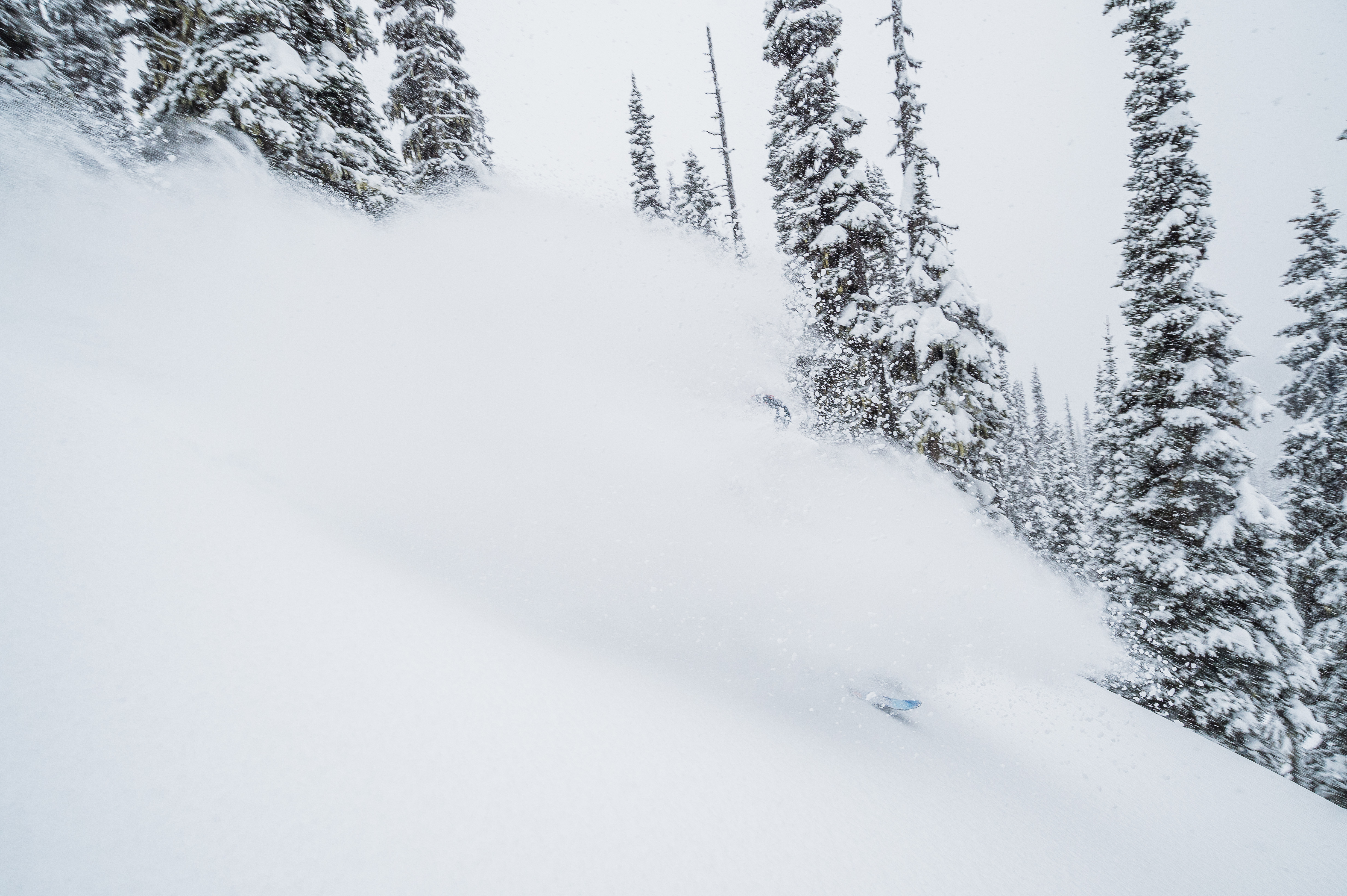 Powder Skiing at Silvertip Lodge, Silvertip Lodge & Heli-Skiing