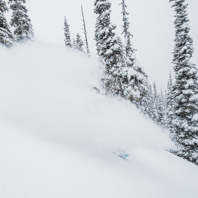 Powder Skiing at Silvertip Lodge, Silvertip Lodge & Heli-Skiing
