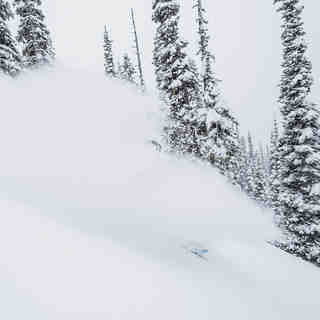Powder Skiing at Silvertip Lodge, Silvertip Lodge & Heli-Skiing