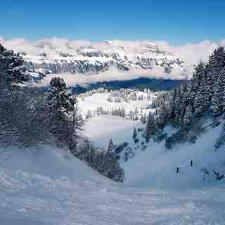 Powder love, Flumserberg