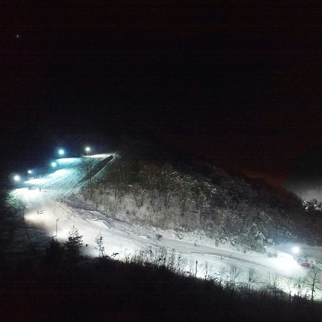 Night, Vučići