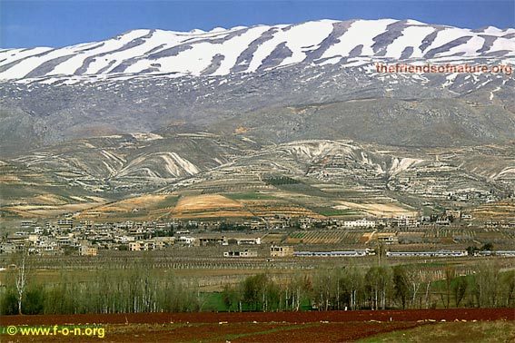 Springtime picture, Mzaar Ski Resort