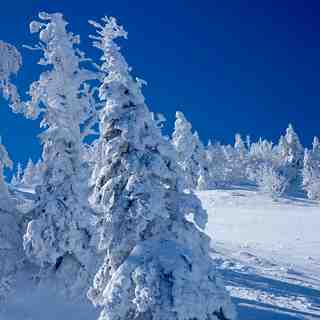 Terakoya, Japan, Shiga Kogen-Terakoya