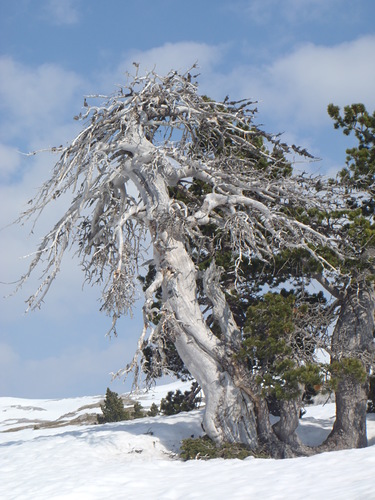 La Pierre Saint Martin Ski Resort by: Marco