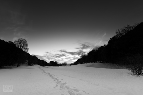 Mount Hermon Ski Resort by: Guy Geva