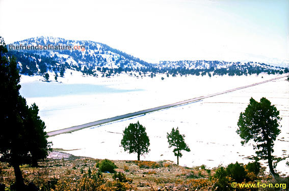 Akkar plain, North Lebanon, Mzaar Ski Resort