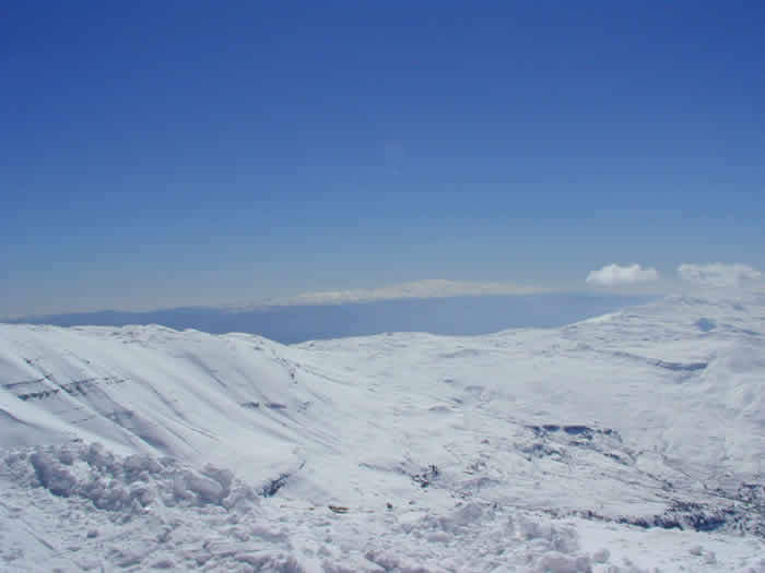 Lebanon's summit, Cedars