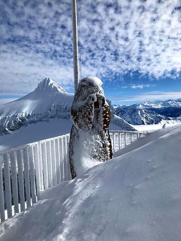 The marmotte, Gstaad Glacier 3000