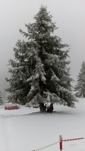 3-5 Pigadia Ski Resort by: panagiotis  lippas