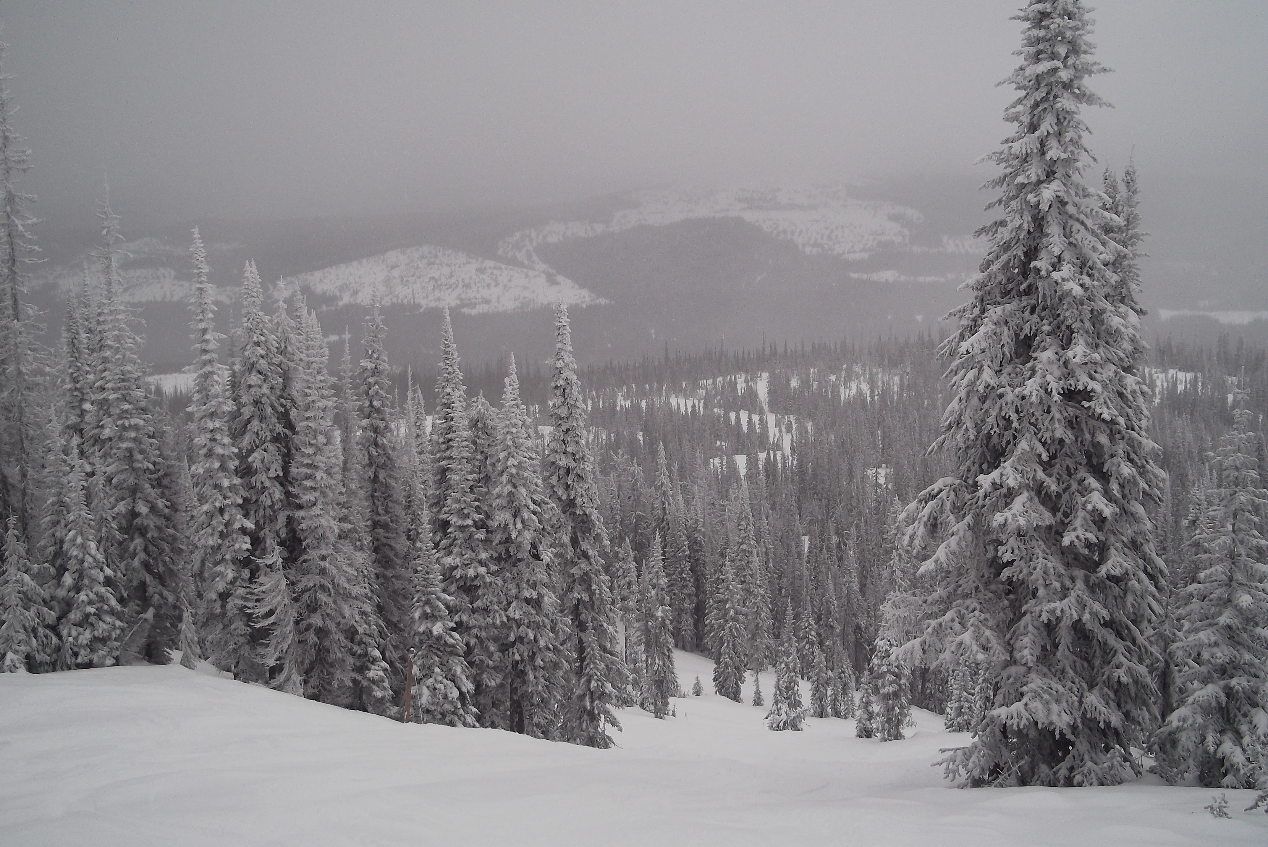 Into the Stick's, Sun Peaks
