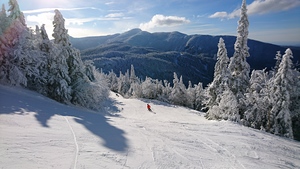Carving, Smuggler's Notch photo