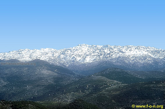 View of Laqlouq mountains, Lebanon, Mzaar Ski Resort