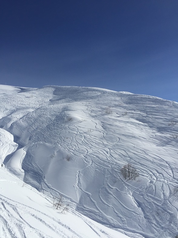 Freeride Rosa Khutor