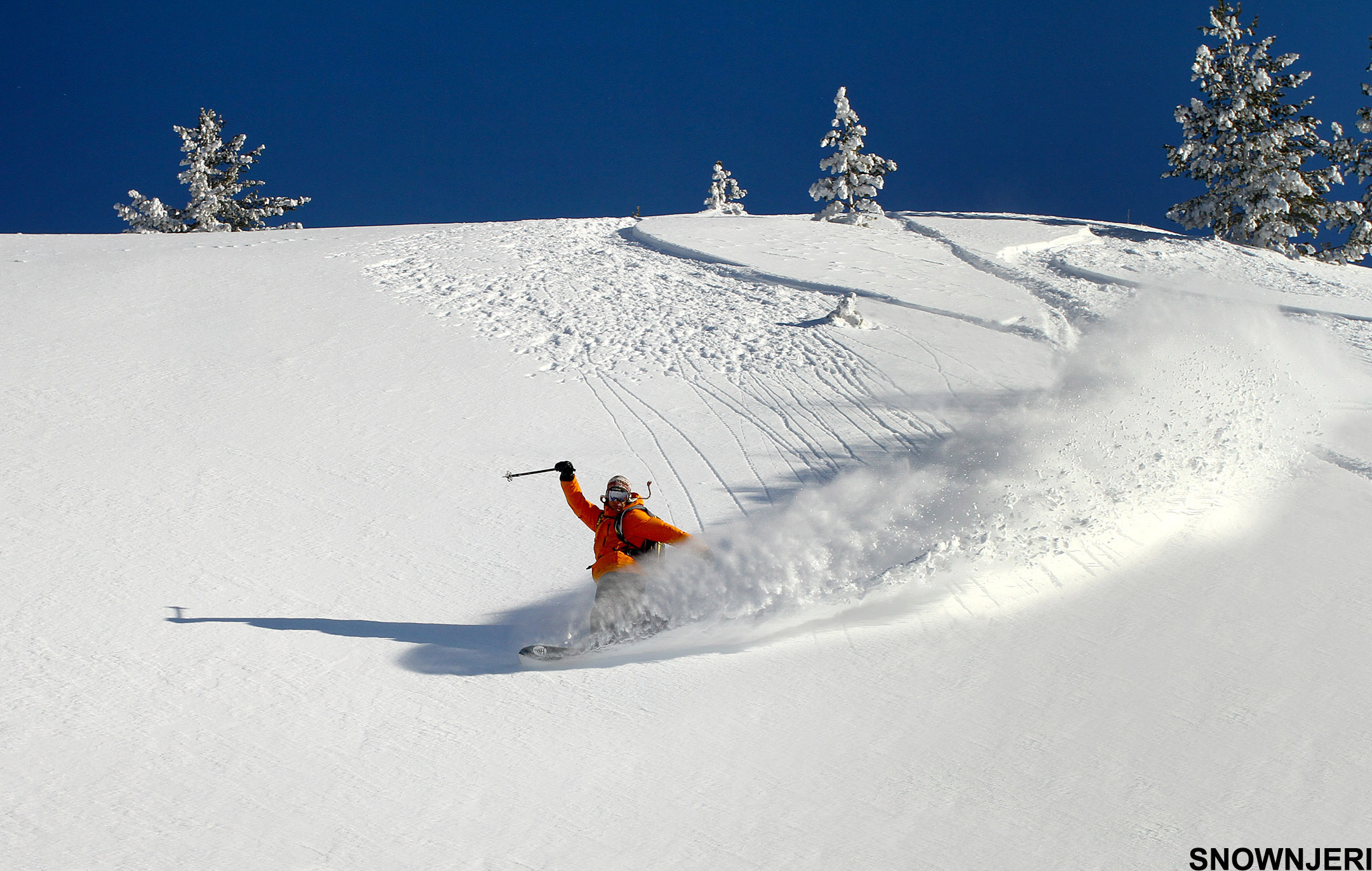 Welcome to Powderland, Brezovica