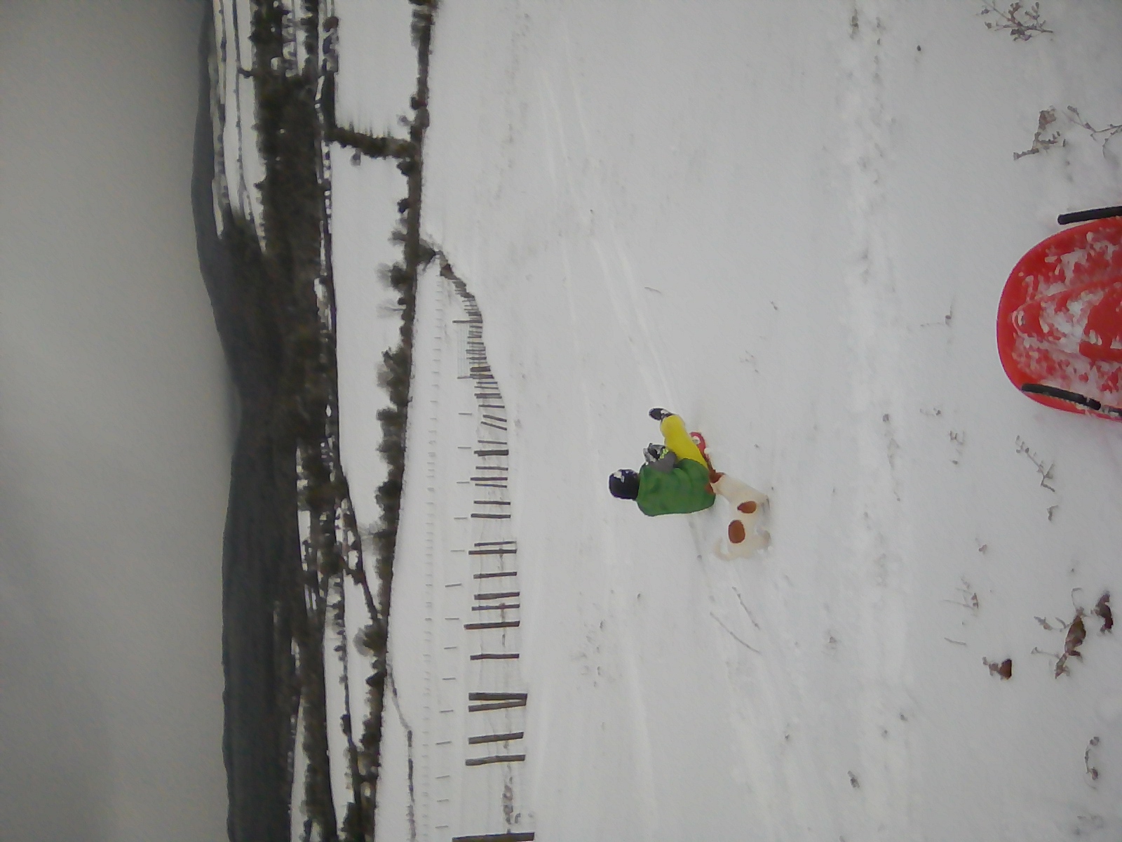 Beginner slope Knocksheegowna., Knockanaffrin (Comeragh Mts)