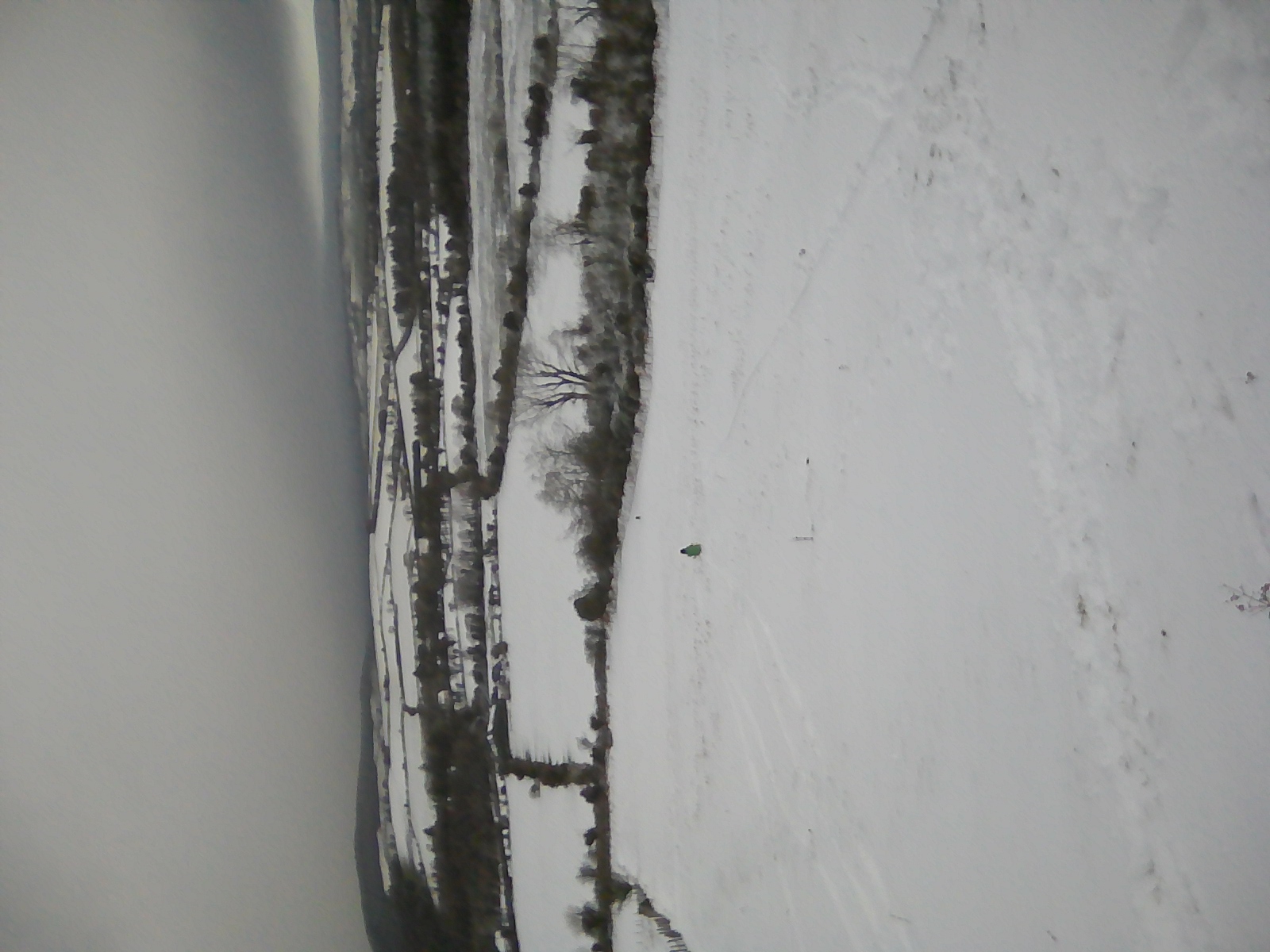 Beginner slope Knocksheegowna., Knockanaffrin (Comeragh Mts)