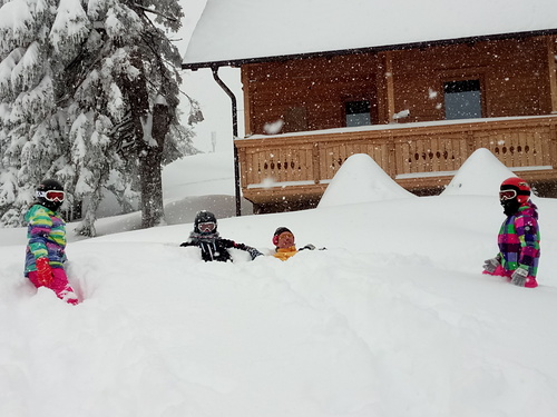 Rogla Ski Resort by: jeno