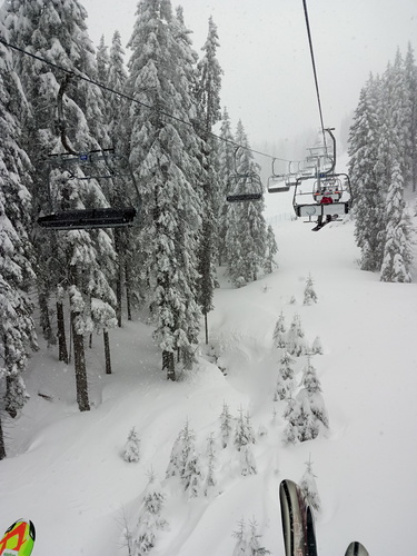 Rogla Ski Resort by: jeno
